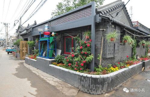 一月高招s最新爆料2025,一月爆料揭秘未来高考趋势